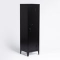 Armoire polyvalente structure en acier