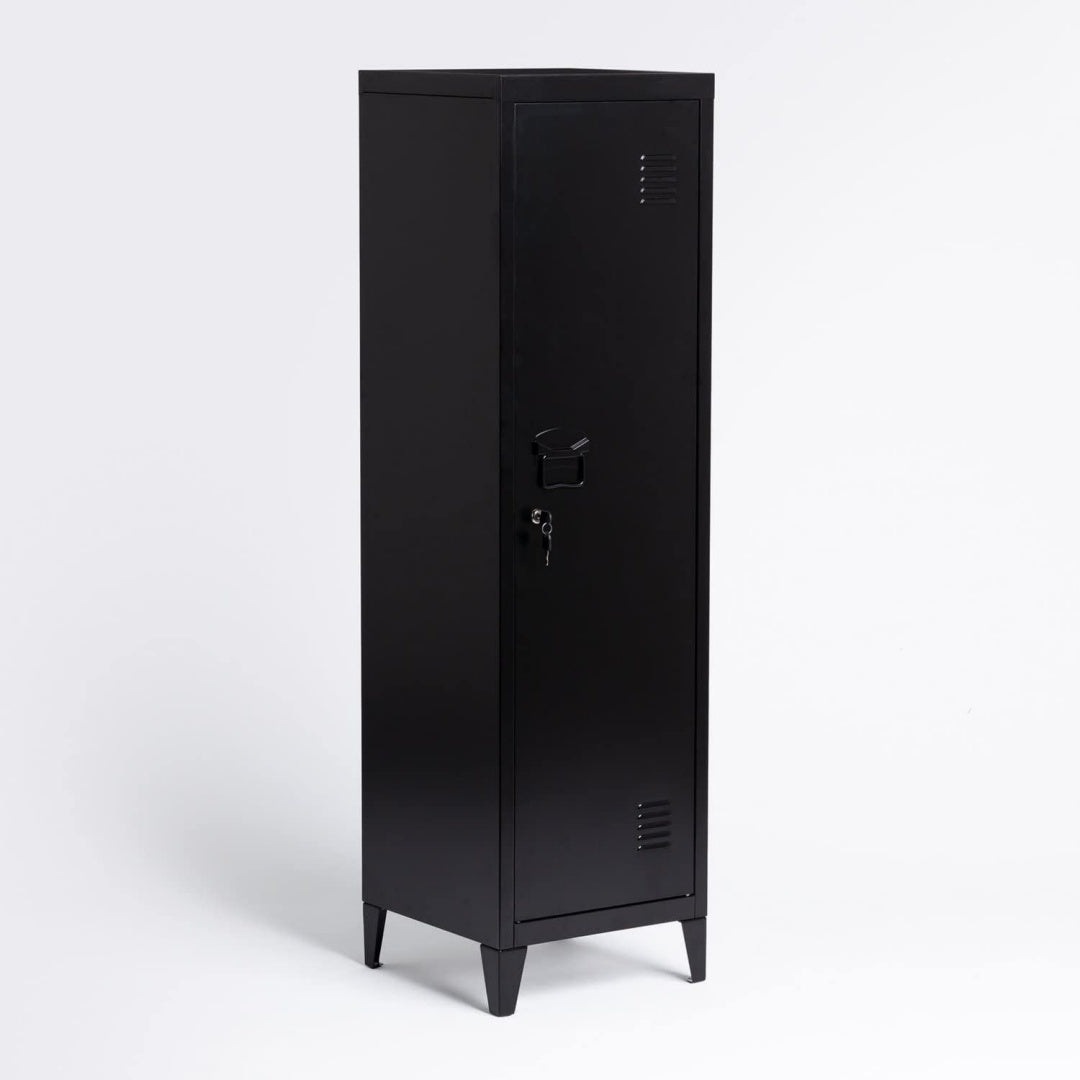 Armoire polyvalente structure en acier